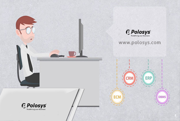 POLOSYS ERP